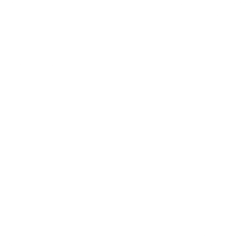 biscuit